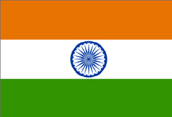 Translate English to Hindi Translation Translate English to Hindi Translation
