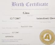 Translation Services for Birth Certificates,Death Certificates,Marriage Certificates and Academic Certificates